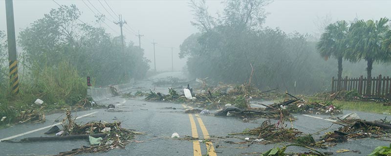 Debris in the road following a hurricane