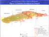 Unidades geológicas en Vieques