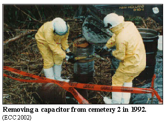 Removing a capacitor from cemetery 2 in 1992