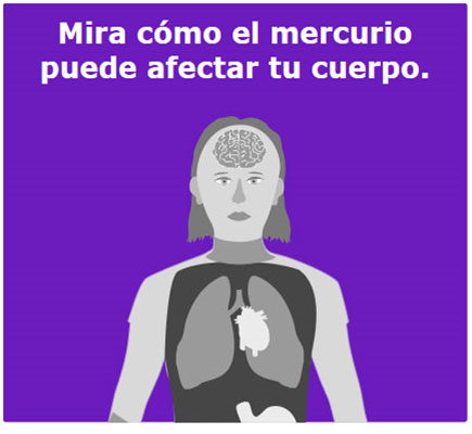 Mira cómo el mercurio puede afectar tu cuerpo