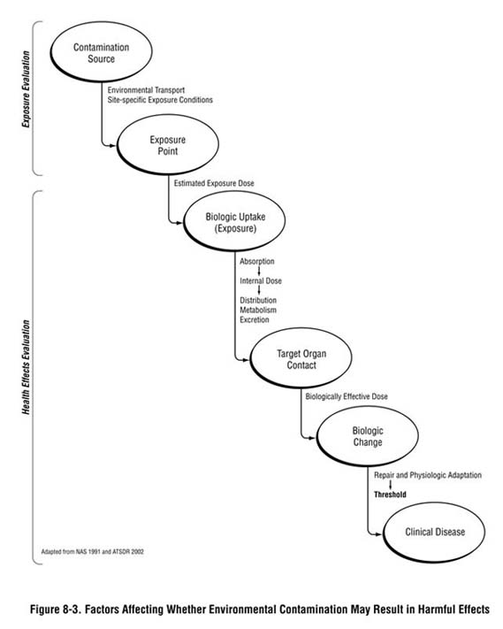 Figure 8-3. Factors Affecting Whether Environmental Contamination May Result in Harmful Effects