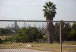 Corpus Christi, Texas