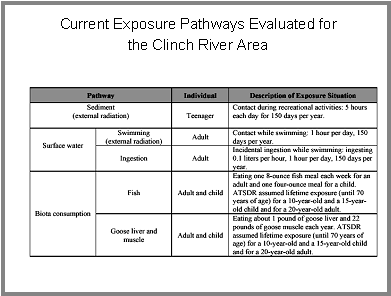 Current Exposure Pathways Evaluated for the Clinch River Area