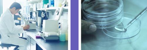 Trichloroethylene Overview