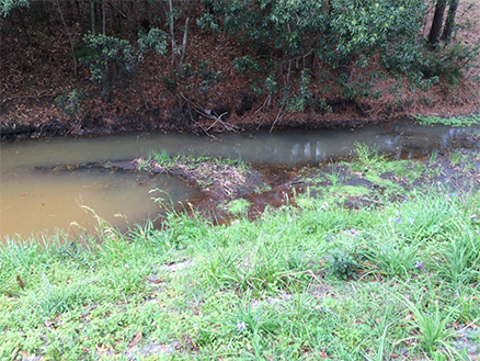 	Canal next to CSX Rail Yard