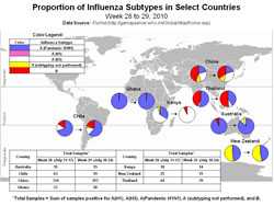 This picture depicts a map of the world that shows the co-circulation of 2009 H1N1 flu and seasonal influenza viruses. Australia, Chile, China, Ghana, Kenya, New Zealand, and Thailand are represented. There is a pie chart for each that shows the proportion of laboratory-confirmed influenza cases that have tested positive for either 2009 H1N1 flu or other influenza subtypes. The majority of laboratory-confirmed influenza cases reported in Australia, Chile, and Ghana in weeks 28 and 29 were 2009 H1N1 flu.