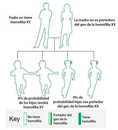 Imagen: En este ejemplo, el padre no tiene hemofilia y la madre no es portadora del gen de la hemofilia. Ninguno de los hijos (mujeres o varones) tendrá hemofilia ni será portador del gen