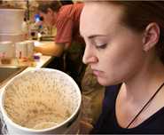 In this CDC photo, a laboratory technician looks into a sealed container of mosquitoes scheduled to undergo testing. In New Orleans, local experts collect mosquitoes for virus testing as part of a citywide mosquito surveillance program. 