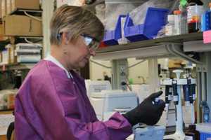 A CDC microbiologist prepares for the development of the Zika MAC-ELISA test. Like the Trioplex, the MAC-ELISA was developed by CDC for the Zika response. 