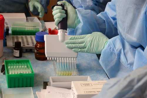 Technician in the process of adding solution to an enzyme-linked immunosorbent assay (ELISA) plate 