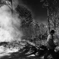 Prescribed burn at the Joseph W. Jones Ecological Research Center 