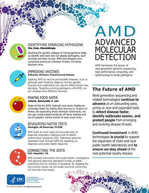 	Thumbnail of the AMD At a Glance factsheet