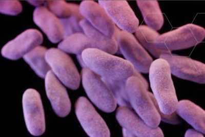 	high magnification depiction of carbapenem-resistant bacteria