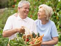 Photo of a couple in a garden