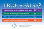 True or False? postcard (horizontal)