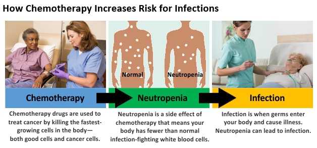 Diagram showing how chemotherapy increases risk for infections