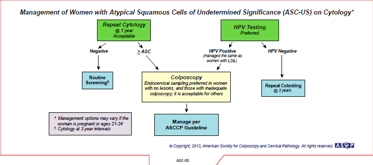 For non-pregnant women between 25 and 65 years of age with ASC-US cytology, reflex HPV testing is preferred. For women with HPV-negative ASC-US, whether from reflex HPV testing or co-testing, repeat co-testing at 3 years is recommended. For women with HPV-positive ASC-US, whether from reflex HPV testing or co-testing, colposcopy is recommended. When colposcopy does not identify CIN in women with HPV-positive ASC-US, co-testing at 12 months is recommended. If the co-test is HPV negative and cytology negative, return for age-appropriate testing in 3 years is recommended. If all tests are negative at that time, routine screening is recommended. It is recommended that HPV testing in follow-up after colposcopy not be performed at intervals of less than 12 months. For women with ASC-US cytology and no HPV result, repeat cytology at 1 year is acceptable. If the result is ASC-US or worse, colposcopy is recommended; if the result is negative, return to cytology testing at 3-year intervals is recommended.