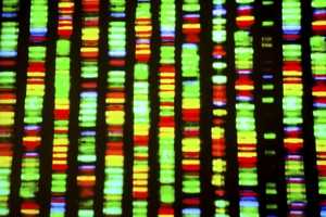 DNA sequence