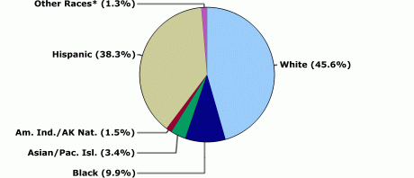 White: 45.6%, Black: 9.9%, Asian/Pacific Islander: 3.4%, American Indian/Alaska Native: 1.5%, Hispanic: 38.3%, Other races: 1.3%.