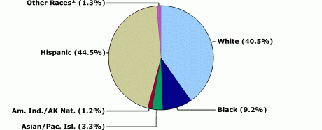 White: 40.5%, Black: 9.2%, Asian/Pacific Islander: 3.3%, American Indian/Alaska Native: 1.2%, Hispanic: 44.5%, Other races: 1.3%.