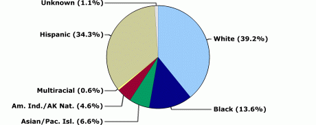 White: 39.2%, Black: 13.6%, Asian/Pacific Islander: 6.6%, American Indian/Alaska Native: 4.6%, Multiracial: 0.6%, Hispanic: 34.3%, Unknown: 1.1%.