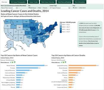 Data Visualizations tool screen shot