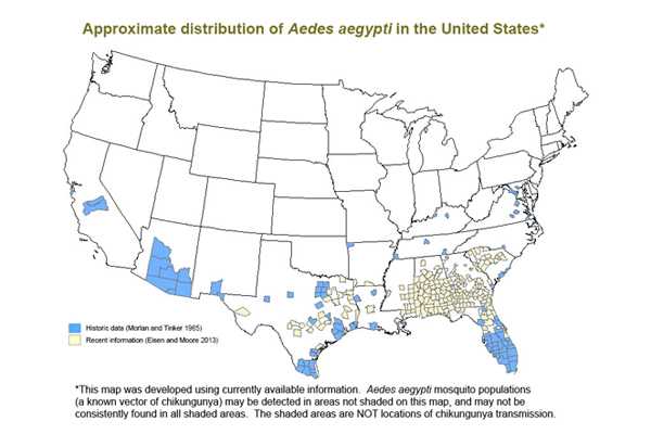 Map of the United States showing approximate distribution of Aedes aegypti in the U.S.  Concentration is largely in the southeastern states.