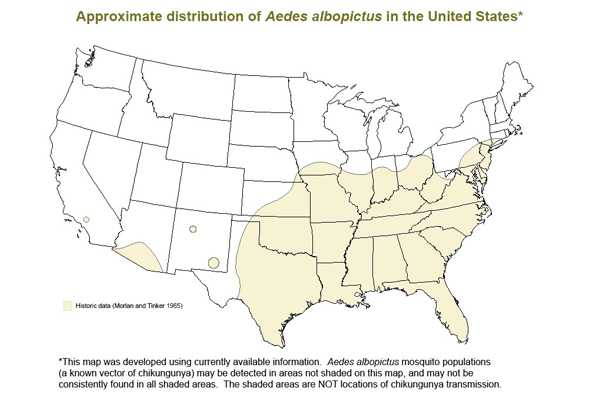 Map of the United States showing approximate distribution of Aedes albopictus in the U.S.  Concentration is in the eastern half of the U.S.