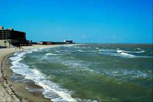 beach along the Alabama coast with greenish water