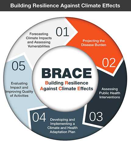 BRACE Infographic