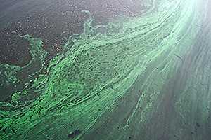 Water pollution - Waterborne