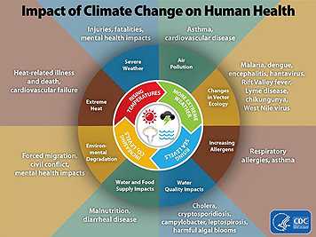 Impact graphic