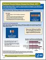 Chronic Kidney Disease Factsheet 2017 thumbnail