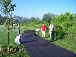 	people building a walking path through a park