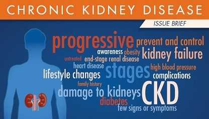 CKD Issue Brief