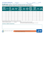 Catheter Connection and Disconnection Audit Tool