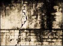 Image of Mold That Has Formed on a Brick Wall