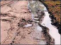 Large Muddy Area on Road