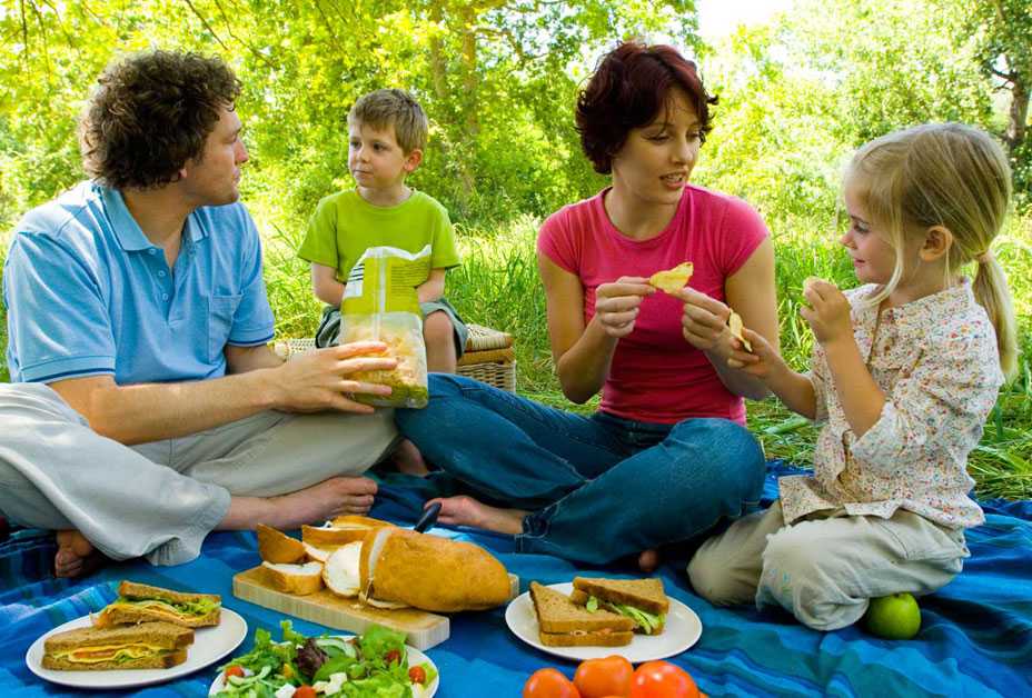 Family having a picnic