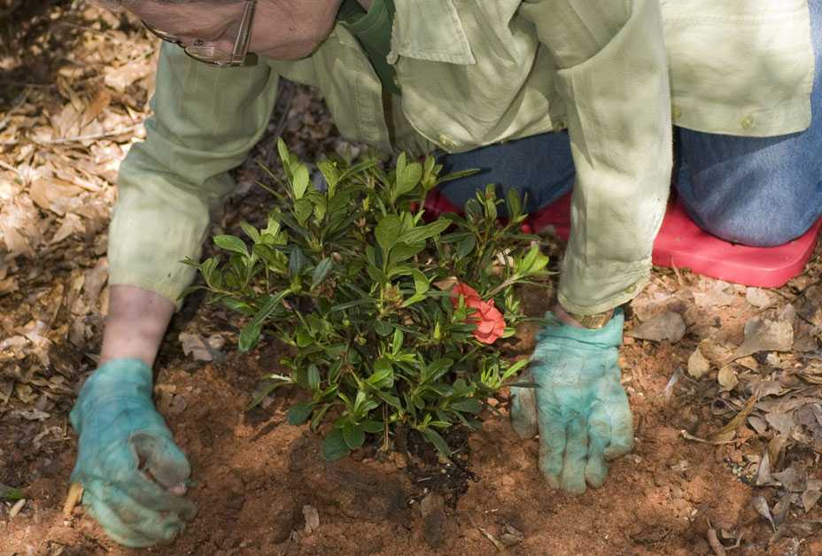 Woman gardening with protective clothing on