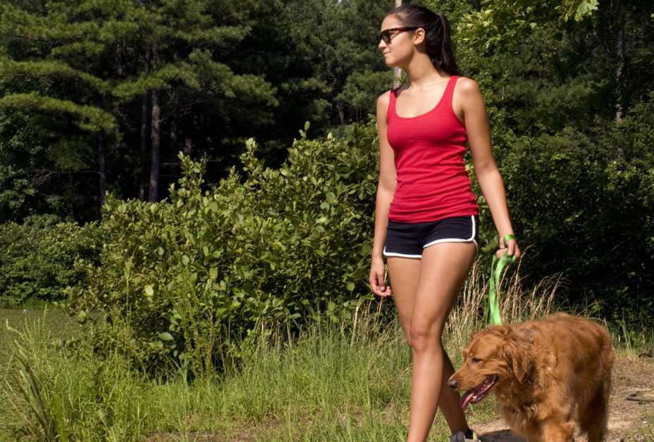 Woman walking dogs