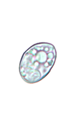 Sarcocystis oocyst sporocyst