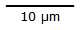 Scale for 10 micro meters