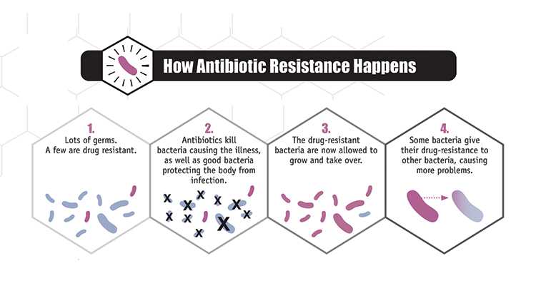 How Antimicrobial Resistance happens image