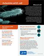 Thumbnail for ecoli factsheet pdf