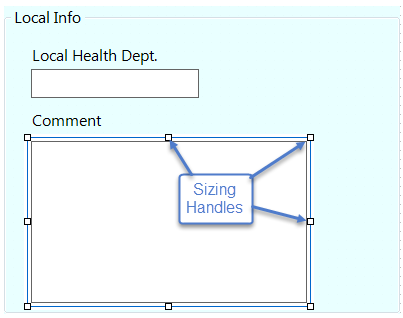 Sizing handles are small squares or boxes at each corner and at the middle of each side of the field.