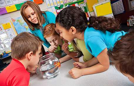 Students and teachers looking at fish bowl