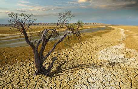 Drought and Your Health