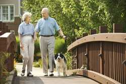 Older couple walking dog