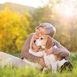 Family and dog on a picnic